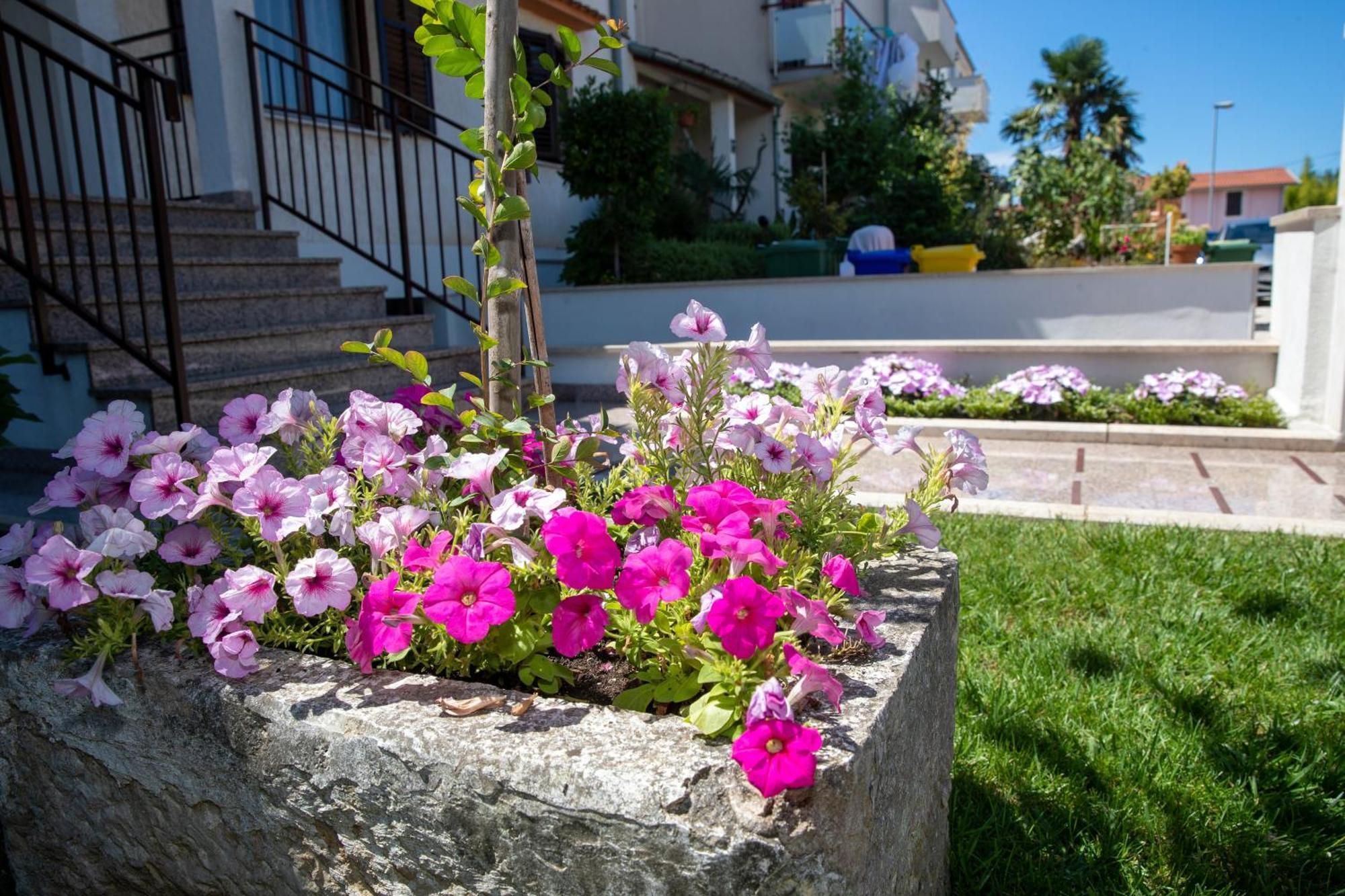 Studio Apartment Noah Rovinj Exteriér fotografie
